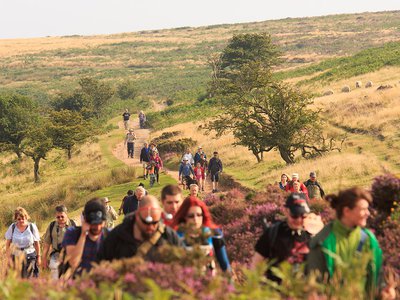 Going the distance: Evolution mavens in the Quantock Hills of England walked for some 3.5 billion years.
