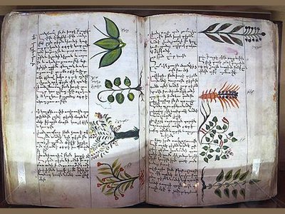 A page from fifteenth century Armenian physician Amirdovlat Amasiatsi’s botanical encyclopedia, Useless for the Ignorant, housed in Matanadaran.