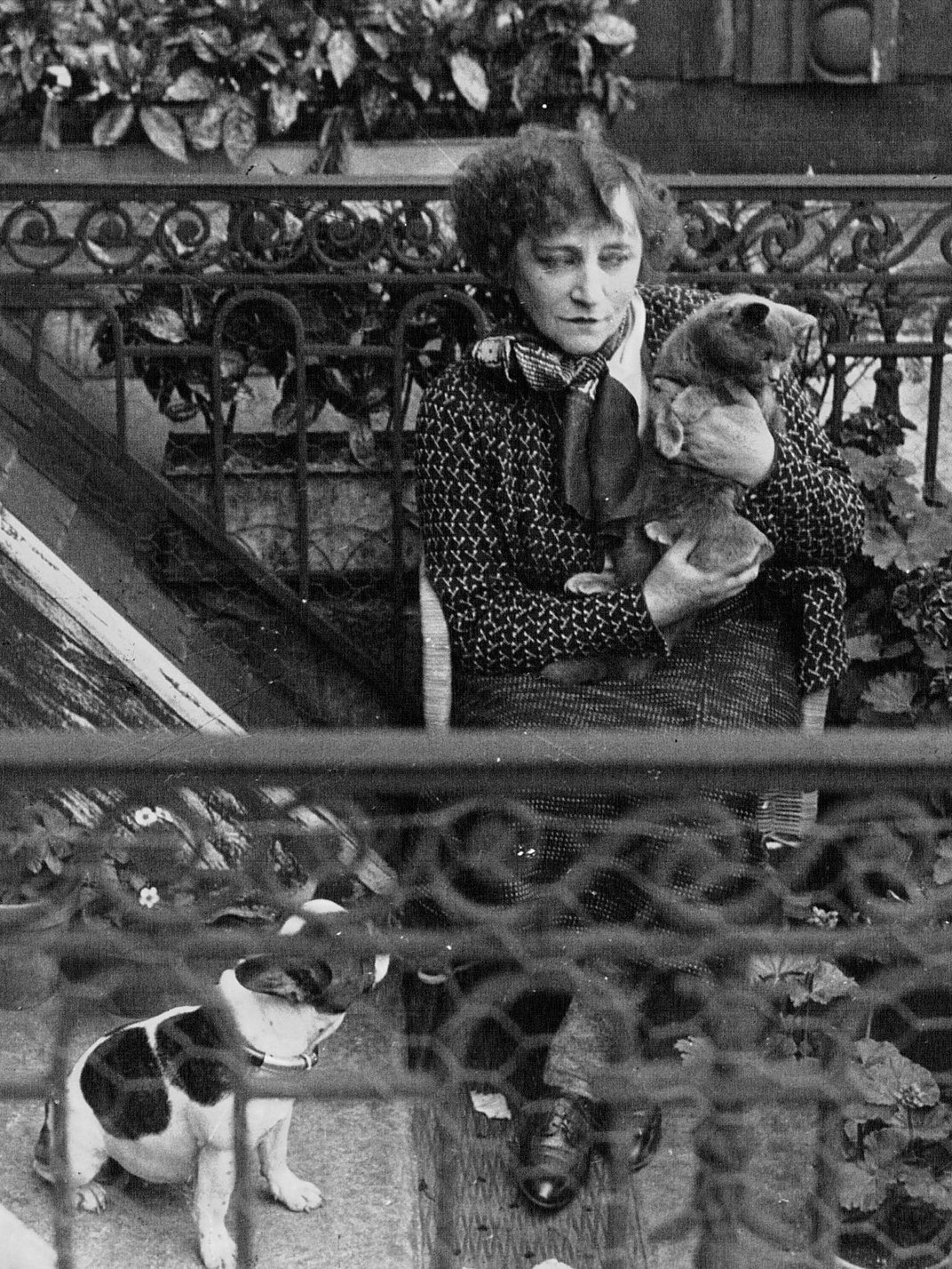 Colette with two of her pets in 1932