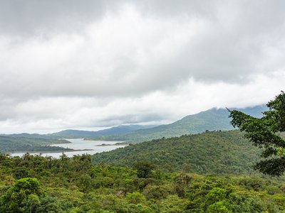 The cloud forests in the Fortuna Hydrological Reserve are home to almost as many species as the entire United States.