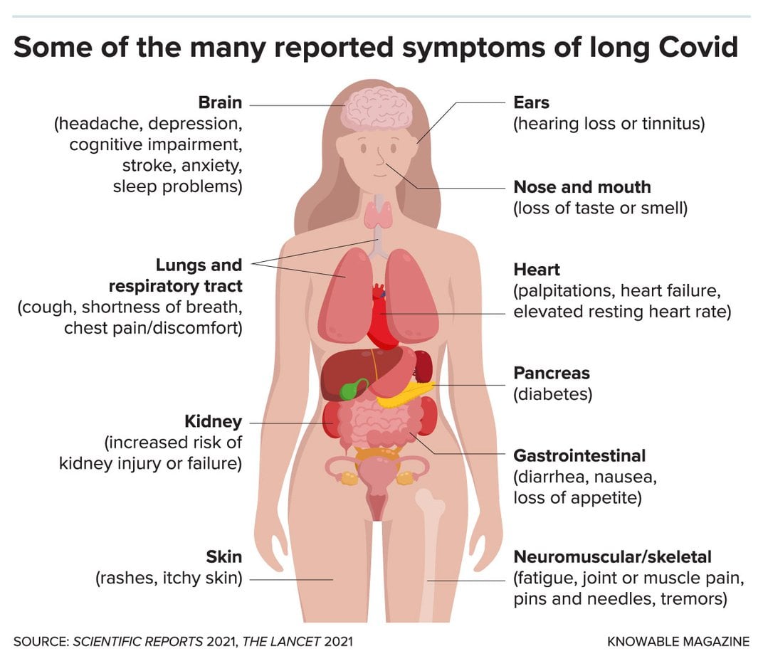 Long Covid Symptoms Graphic