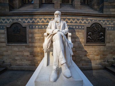 A statue of Charles Darwin sits in the Natural History Museum in London. The scientist's book 'Descent of Man' was published in 1871.