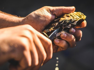 As the North Carolina farmed oyster industry grows, advocates hope to fuel consumer demand and build the industry&rsquo;s profile with a tourism &ldquo;trail.&rdquo;