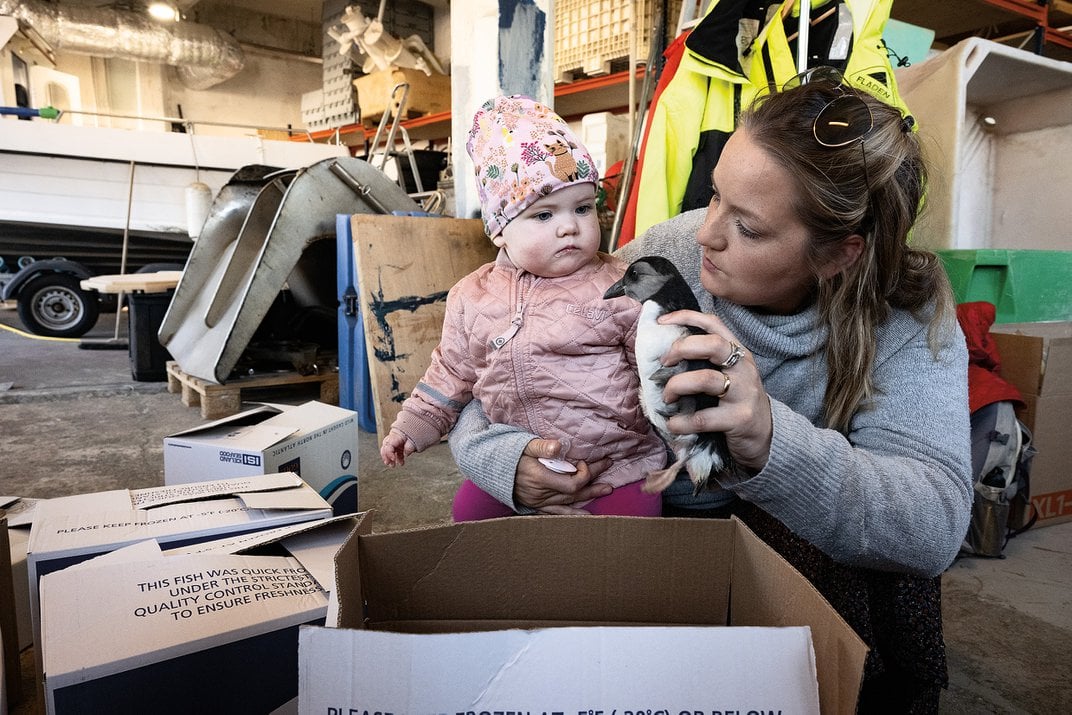 Berglind Sigvardsdóttir shows her 10-month-old niece, Sara Björk Guðmundsdóttir, a puffling that older children in the family rescued and are about to release.