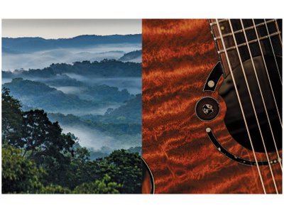 Left, the Chiquibul Forest in Belize, near the spot where the fabled Tree once grew. Right, a custom guitar crafted from the Tree&rsquo;s distinctive mahogany.