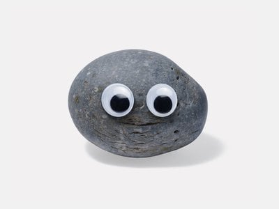 A googly-eyed rock is among the items up for grabs.