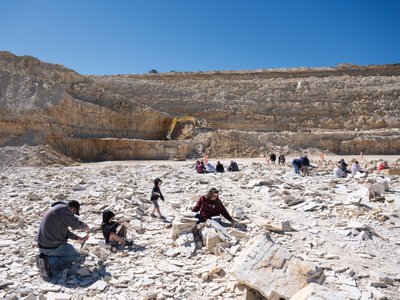 At American Fossil Quarry, on privately owned land near Kemmerer, Wyoming, hammer- and chisel-wielding visitors pay $69 to $89 to spend up to four hours hunting for fossils. Finders, keepers.
