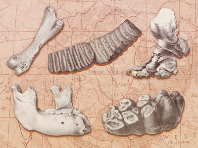 Stories of the enslaved people who helped kick-start paleontology and the Native American guides who led naturalists to fossils around the continent have long been suppressed.